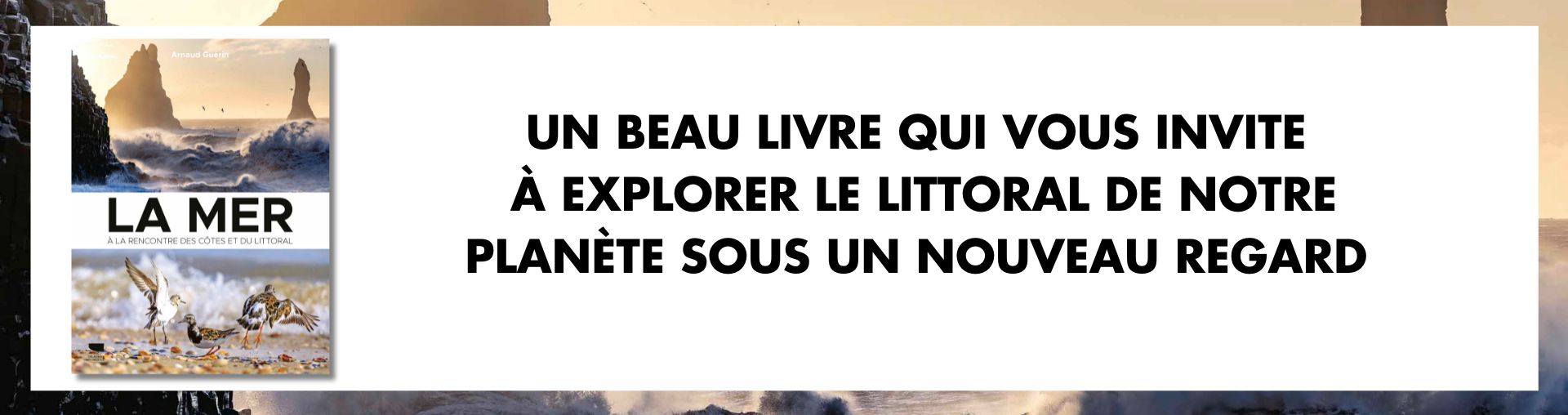 Couverture de l'ouvrage