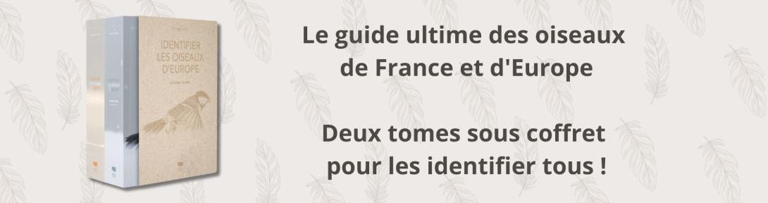 Découvrez le guide ultime des oiseaux de France et d'Europe !